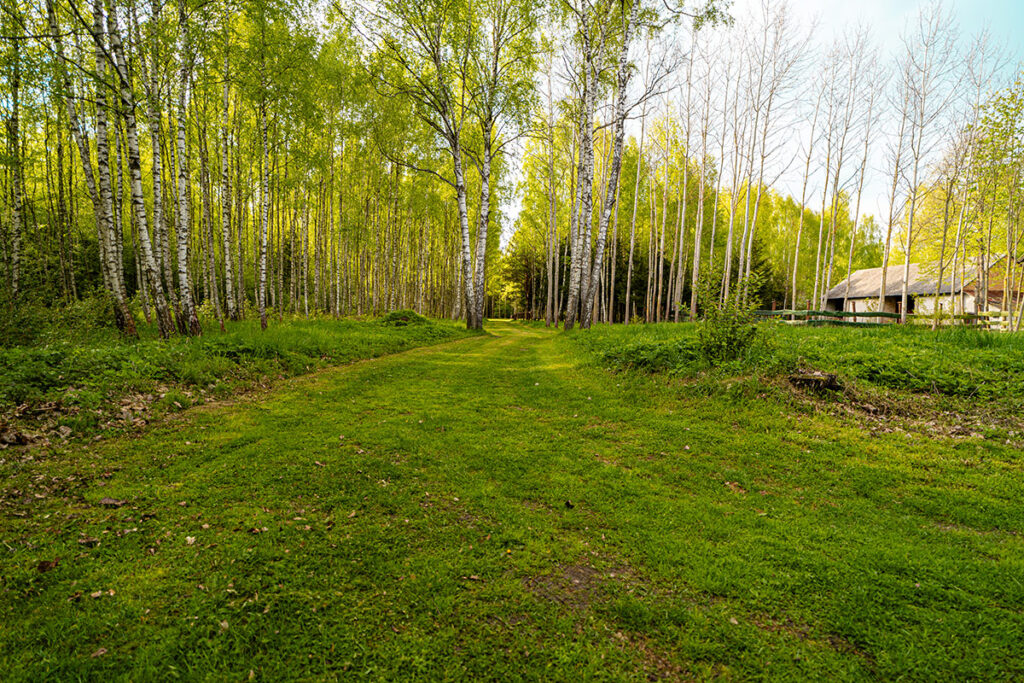 Ostoja Ciszy - dom na podlasiu